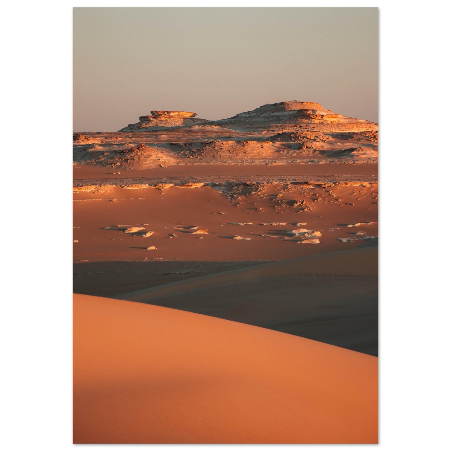 2f1d26c8-7708-44ef-b242-f792b544e73e