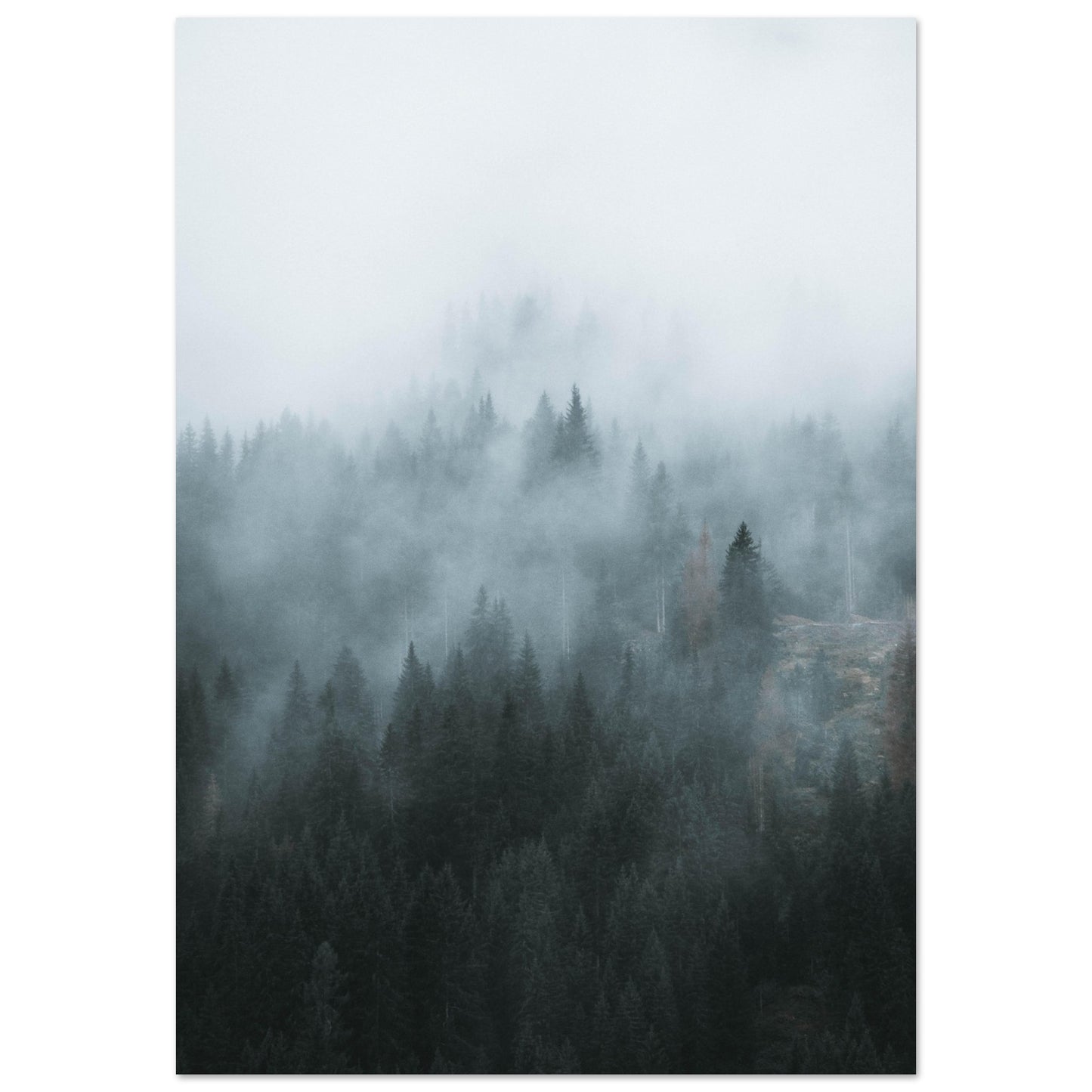 ae76e688-4c83-4772-9649-c27c689a3994