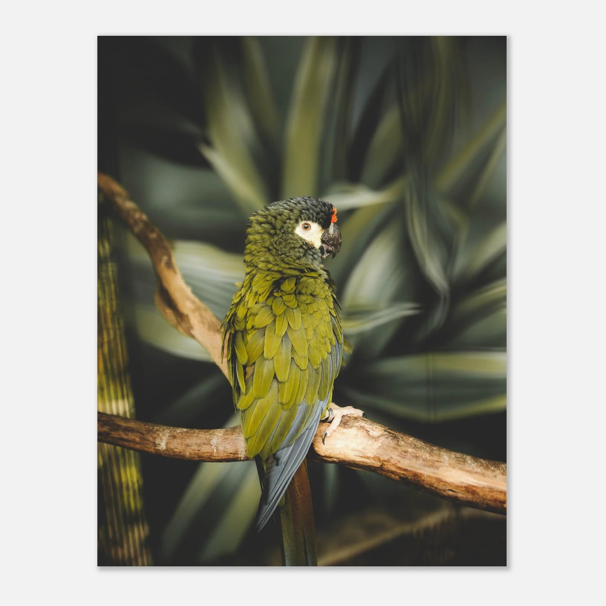 1360e042-0474-452d-afea-b76b95e1f14f