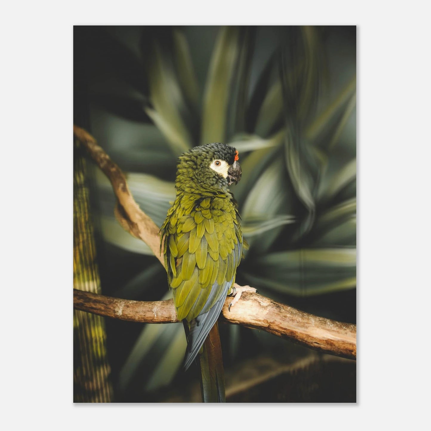 2219f72e-0dfd-4d2d-9e02-f49e13ec6ed1