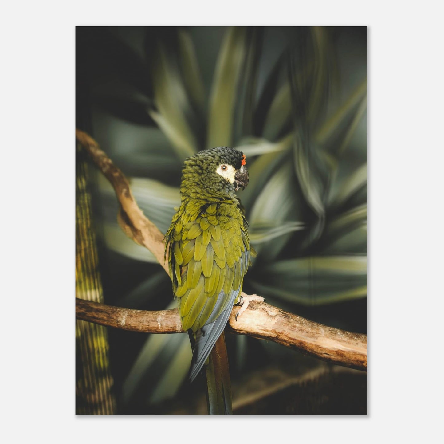 dbe4ae4c-fd7e-401c-8bfe-5e7decd5f142